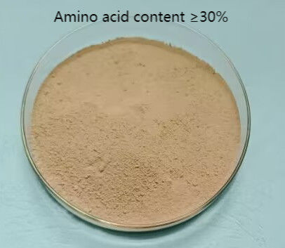 30% Organic Fertilizer Powder For Plant And Agricultural Crops