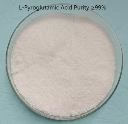 C5H7NO3 API Intermediates L-Pyroglutamic Acid Powder White Powder