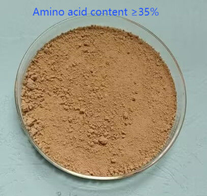 35% Compound Amino Acid Powder Fertilizer 20kg/ Bag ISO 22000
